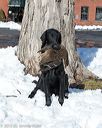 20130309-nefcrc-0014