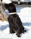 20130309-nefcrc-0024