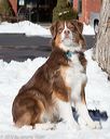 20130309-nefcrc-0031