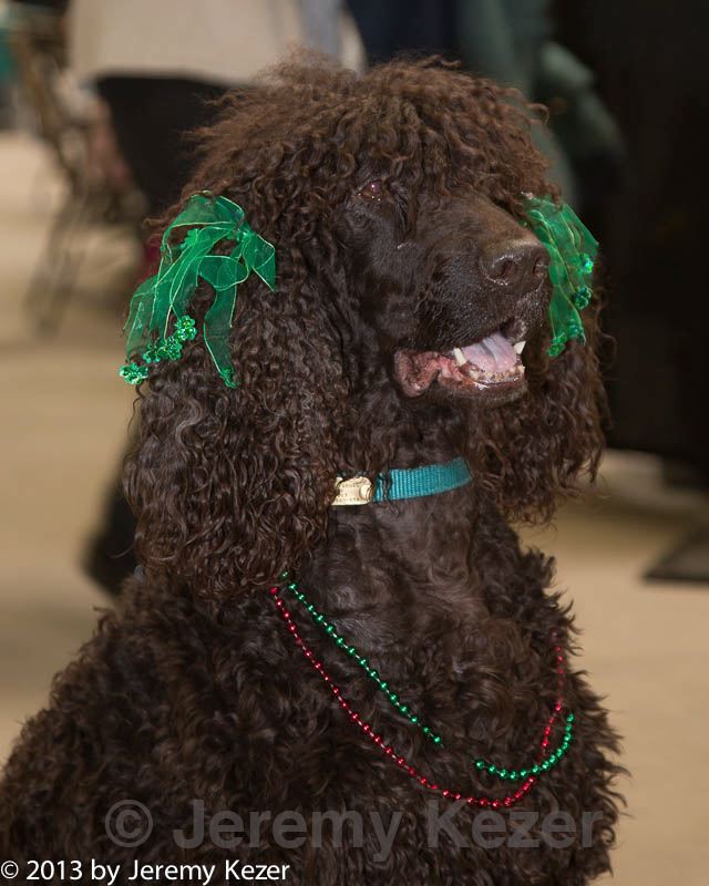 20130316-0282.jpg