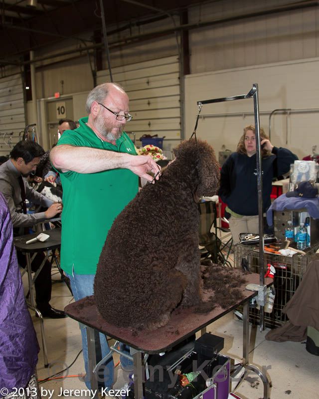 20130316-0292.jpg