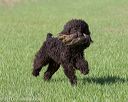 20130415-wcl-0135