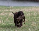 20130415-wcxl-0005