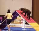 20130416-ag-0060