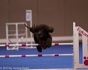 20130416-ag-0100