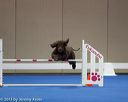 20130416-ag-0660