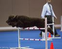 20130416-ag-0597