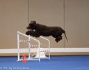 20130416-ag-0612