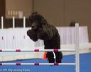 20130416-ag-0818