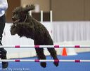 20130416-ag-0828