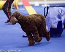 20130416-ag-0227
