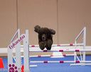 20130416-ag-0230