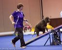 20130416-ag-0236