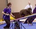 20130416-ag-0239
