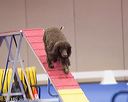 20130416-ag-0251