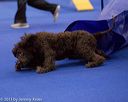 20130416-ag-0255