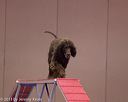20130416-ag-0113