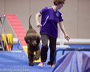 20130416-ag-0119