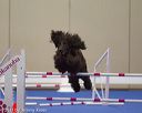 20130416-ag-0207