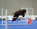 20130416-ag-0573