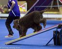 20130416-ag-0830