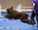 20130416-ag-0845