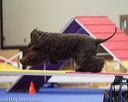 20130416-ag-0893