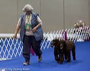 20130417-ob-0390