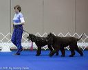 20130417-ob-0398