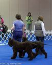 20130417-ob-0410