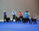 20130417-ob-0441