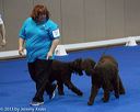 20130417-ob-0461