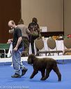 20130418-p-0001