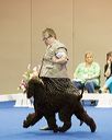 20130418-sw-0102