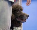 20130418-sw-0597