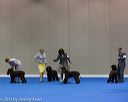 20130419-co-0800