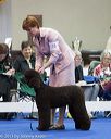20130419-co-0433
