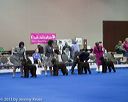 20130419-co-1200