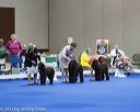 20130419-co-1201