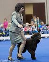 20130419-co-0772