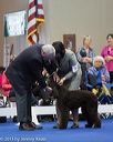 20130419-co-0781