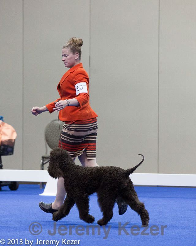20130419-co-0574.jpg