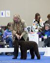 20130419-co-0678