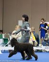 20130419-co-0691