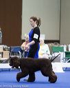 20130419-co-0339