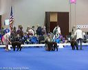 20130419-co-1194