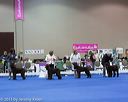 20130419-co-1196