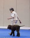 20130419-co-0650