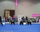 20130419-co-1225