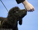 20130419-co-0046